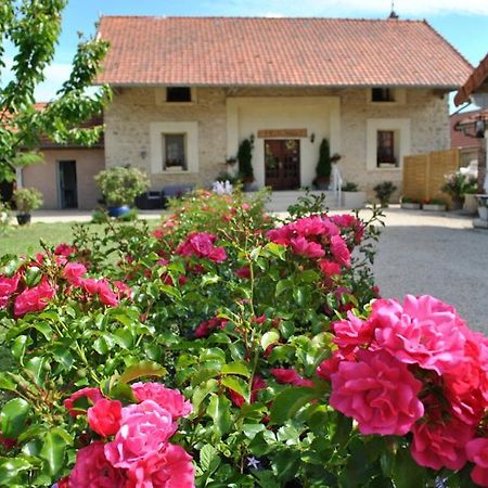 La Besace Bed and Breakfast Sainte-Croix  Εξωτερικό φωτογραφία